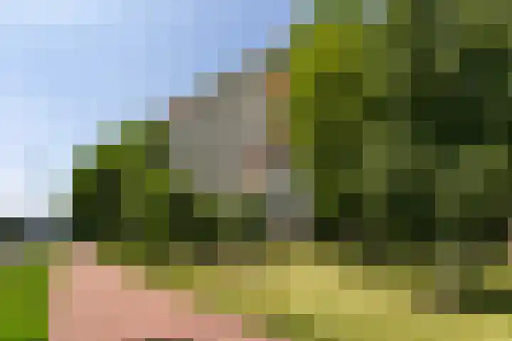 Rachmaninoffplantsoen 57 Utrecht thumbnail 31