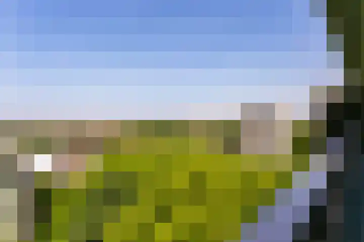 Rachmaninoffplantsoen 57 Utrecht thumbnail 7