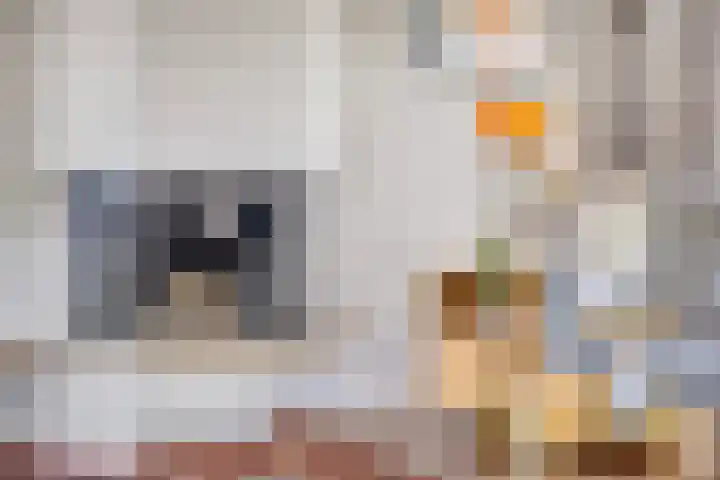Rachmaninofstraat 5 Hengelo thumbnail 12