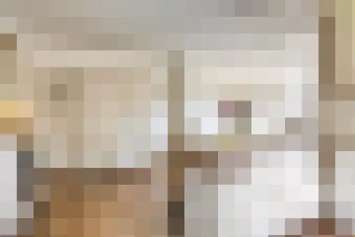 Rachmaninofstraat 5 Hengelo thumbnail 21