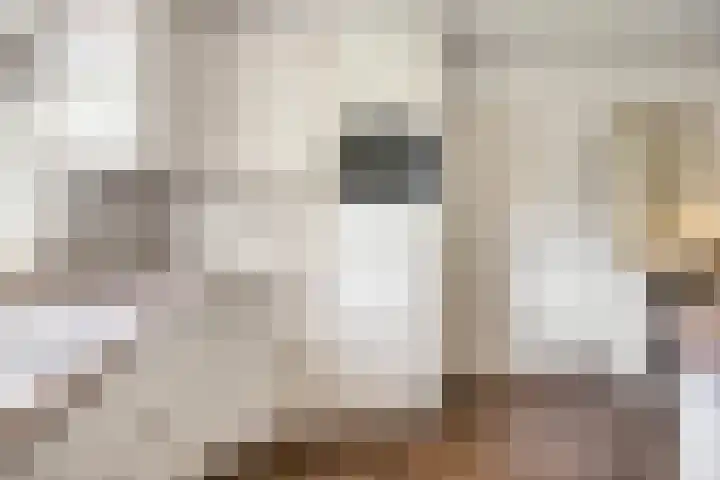 Rachmaninofstraat 5 Hengelo thumbnail 23