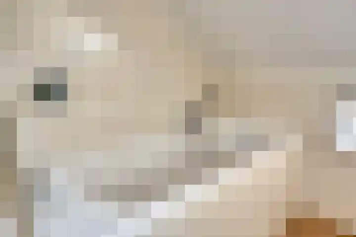 Rachmaninofstraat 5 Hengelo thumbnail 32