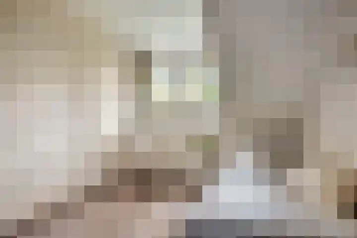 Rachmaninofstraat 5 Hengelo thumbnail 37