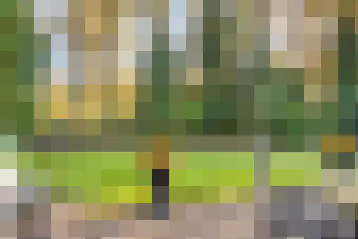 Rachmaninofstraat 5 Hengelo thumbnail 42