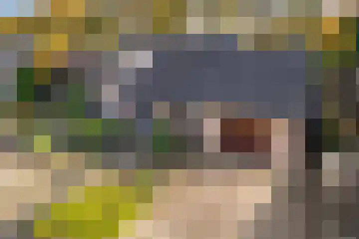 Rachmaninofstraat 5 Hengelo thumbnail 6
