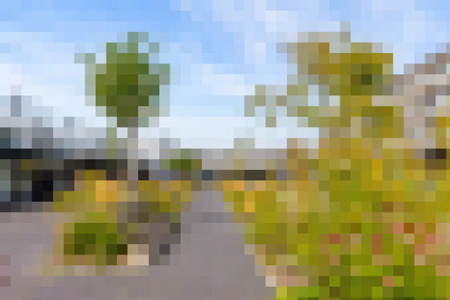 Rachmaninovstraat 40 Almere thumbnail 37