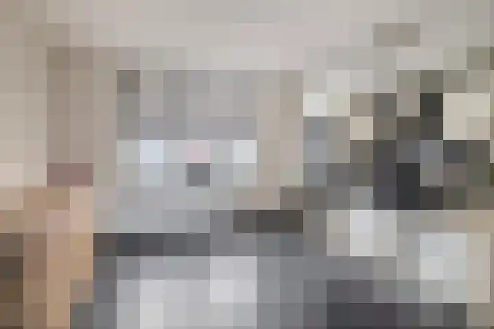 Racinestraat 79 Venlo thumbnail 8