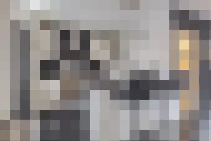 Racinestraat 79 Venlo thumbnail 9