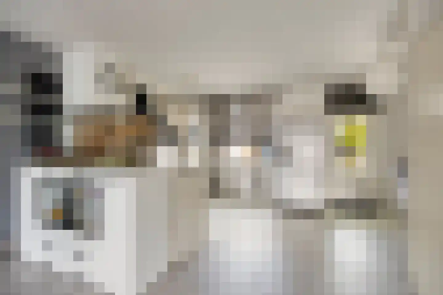 Racinestraat 9 Venlo thumbnail 12