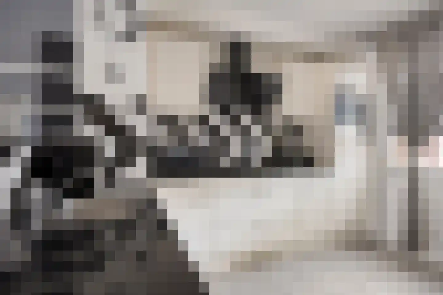 Racinestraat 9 Venlo thumbnail 13