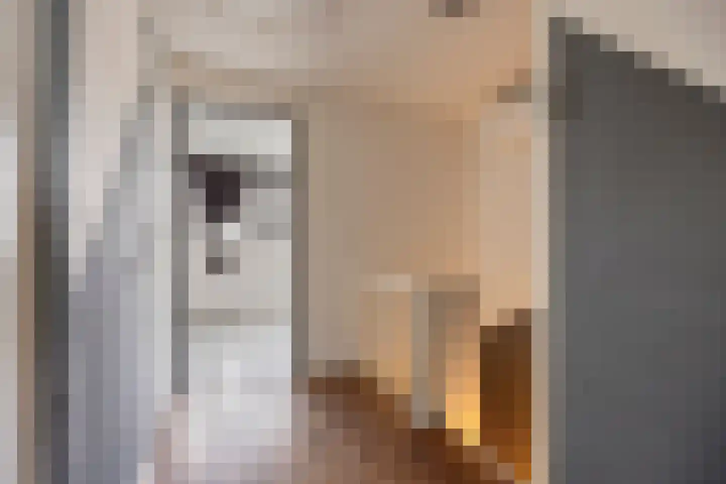 Racinestraat 9 Venlo thumbnail 18