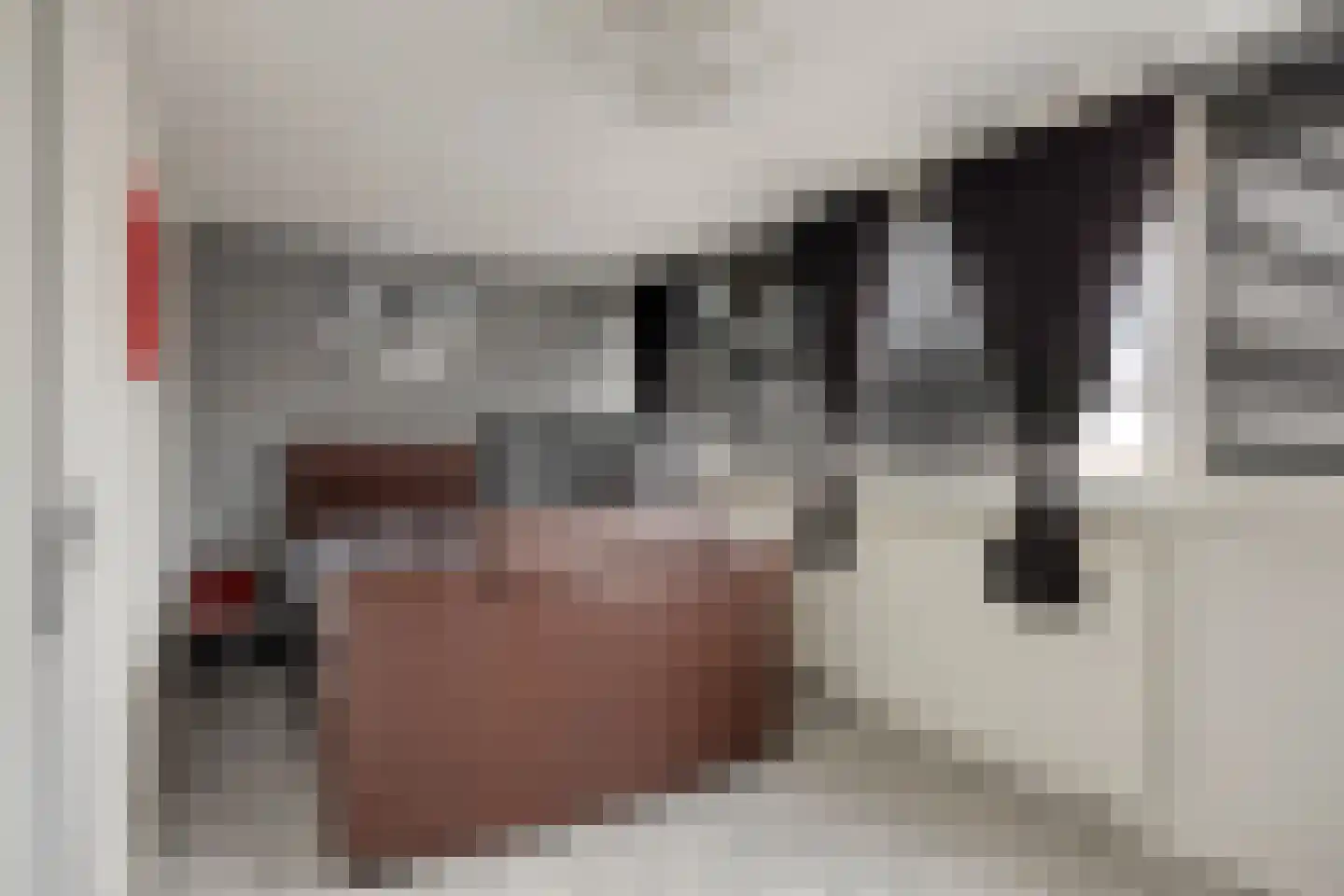 Racinestraat 9 Venlo thumbnail 19