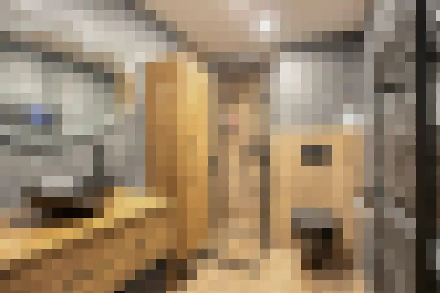 Racinestraat 9 Venlo thumbnail 21