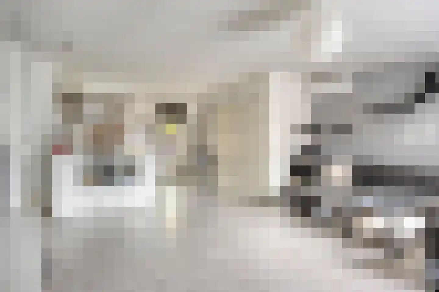 Racinestraat 9 Venlo thumbnail 9