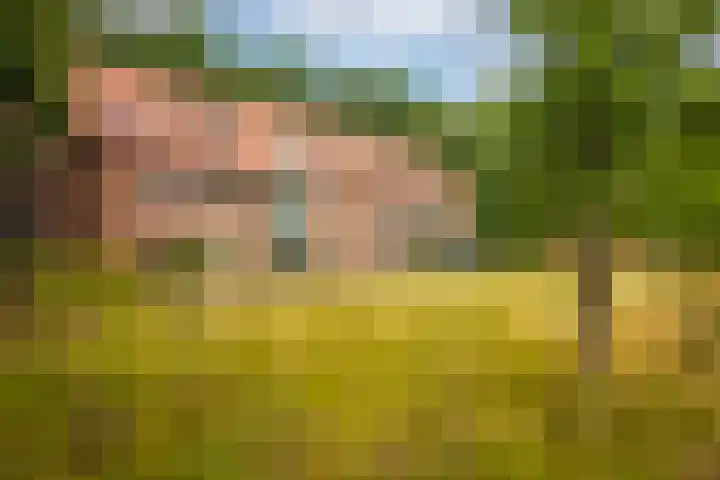 Radarpad 26 Arnhem thumbnail 4