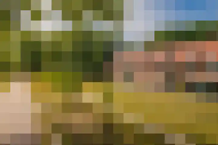 Radarpad 26 Arnhem thumbnail 6