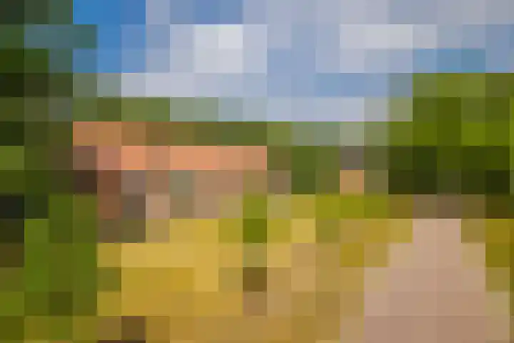 Radarpad 26 Arnhem thumbnail 7