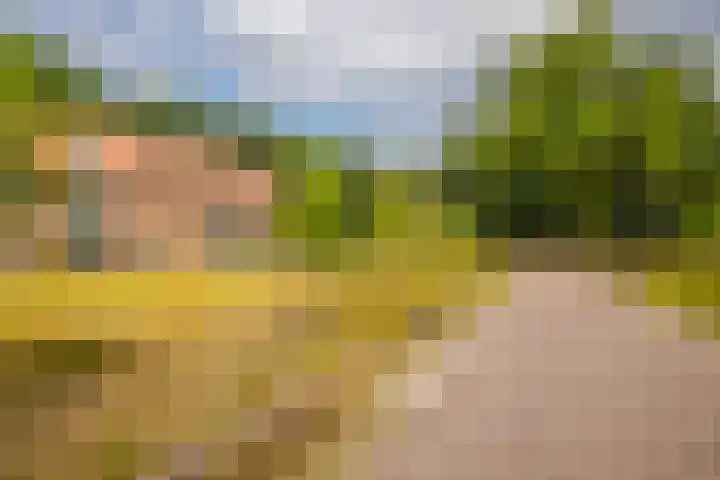 Radarpad 26 Arnhem thumbnail 8