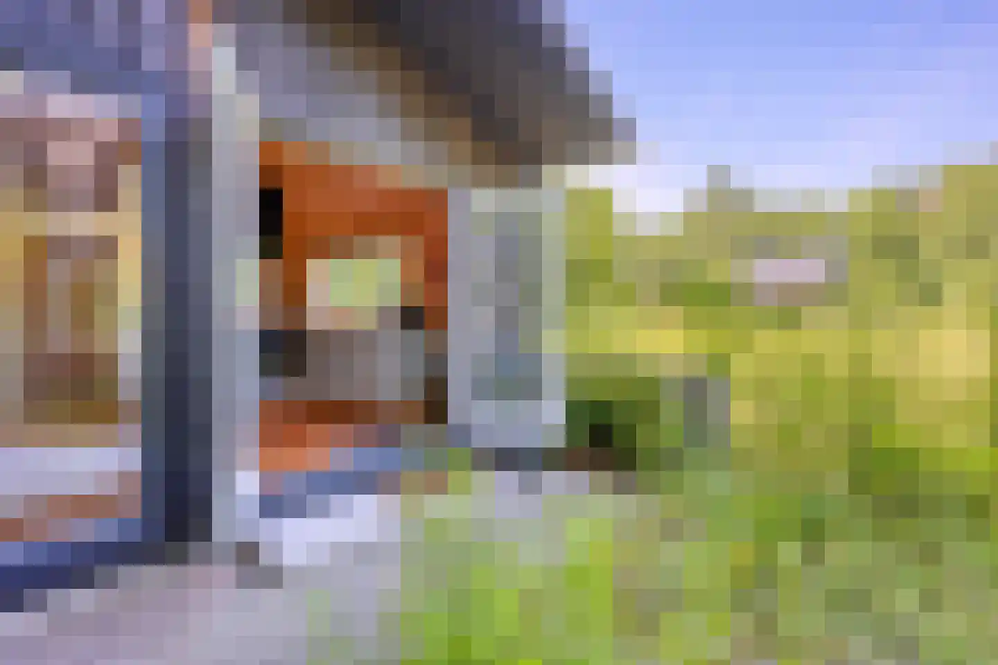 Radarpad 62 Arnhem thumbnail 18