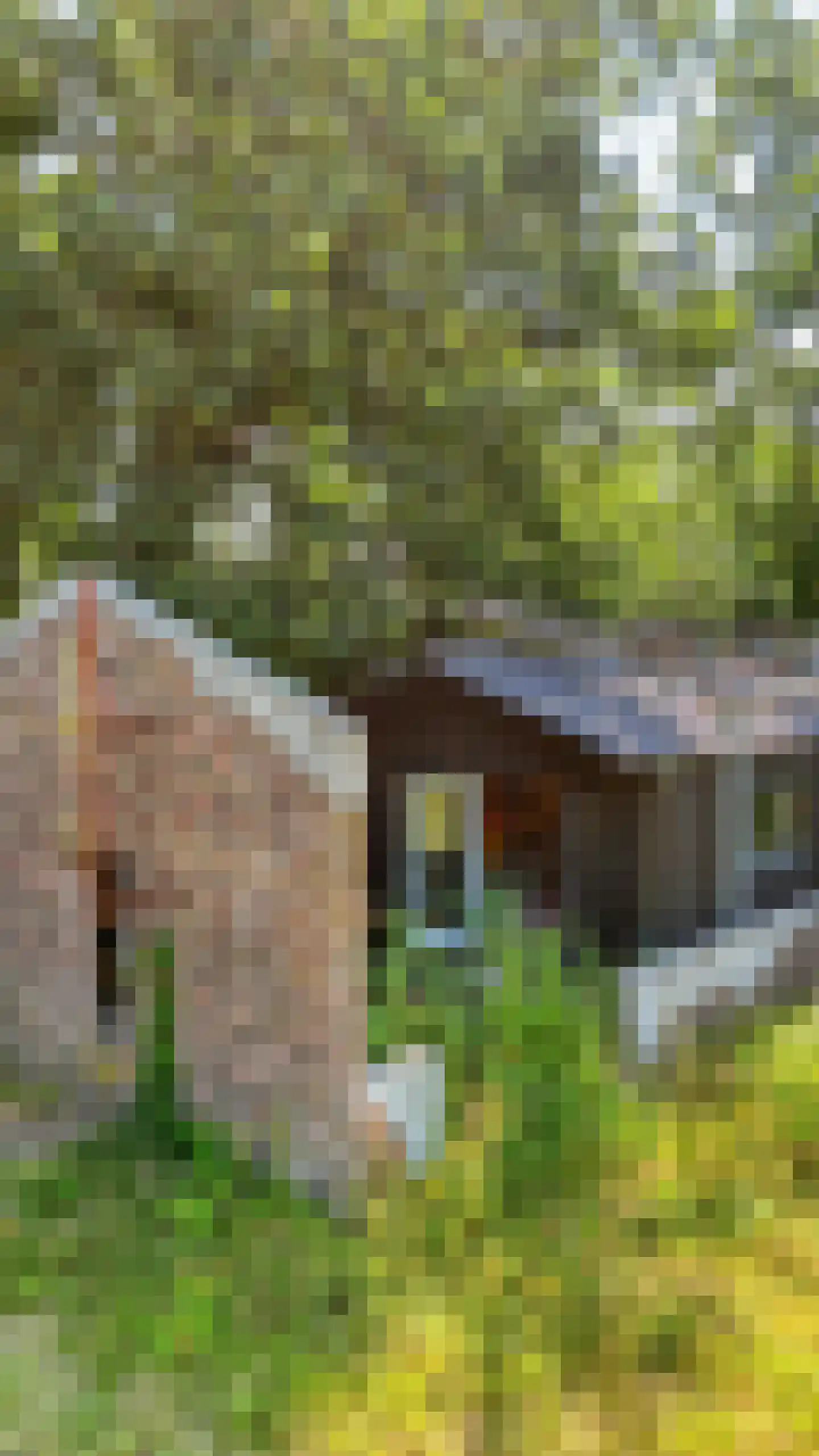 Radarpad 62 Arnhem thumbnail 21