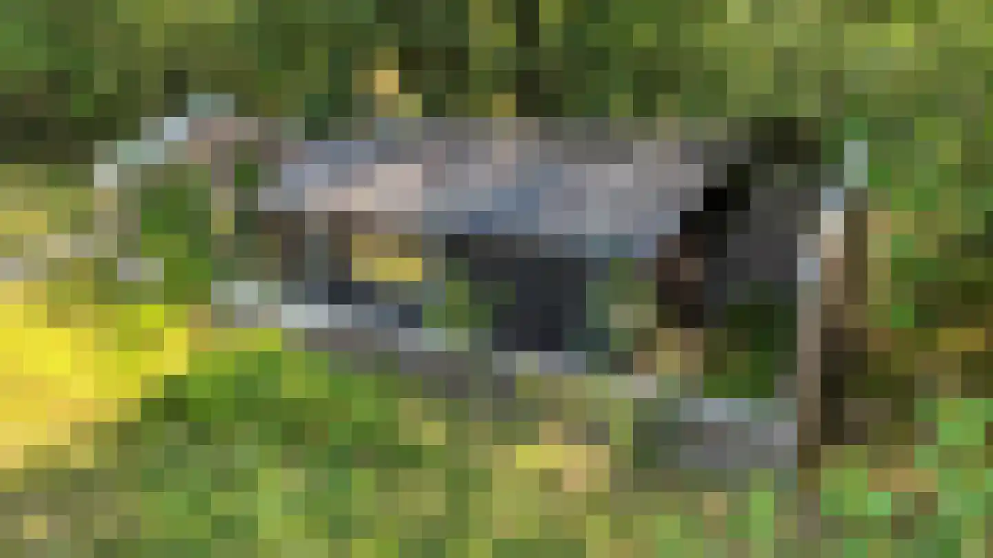Radarpad 62 Arnhem thumbnail 29