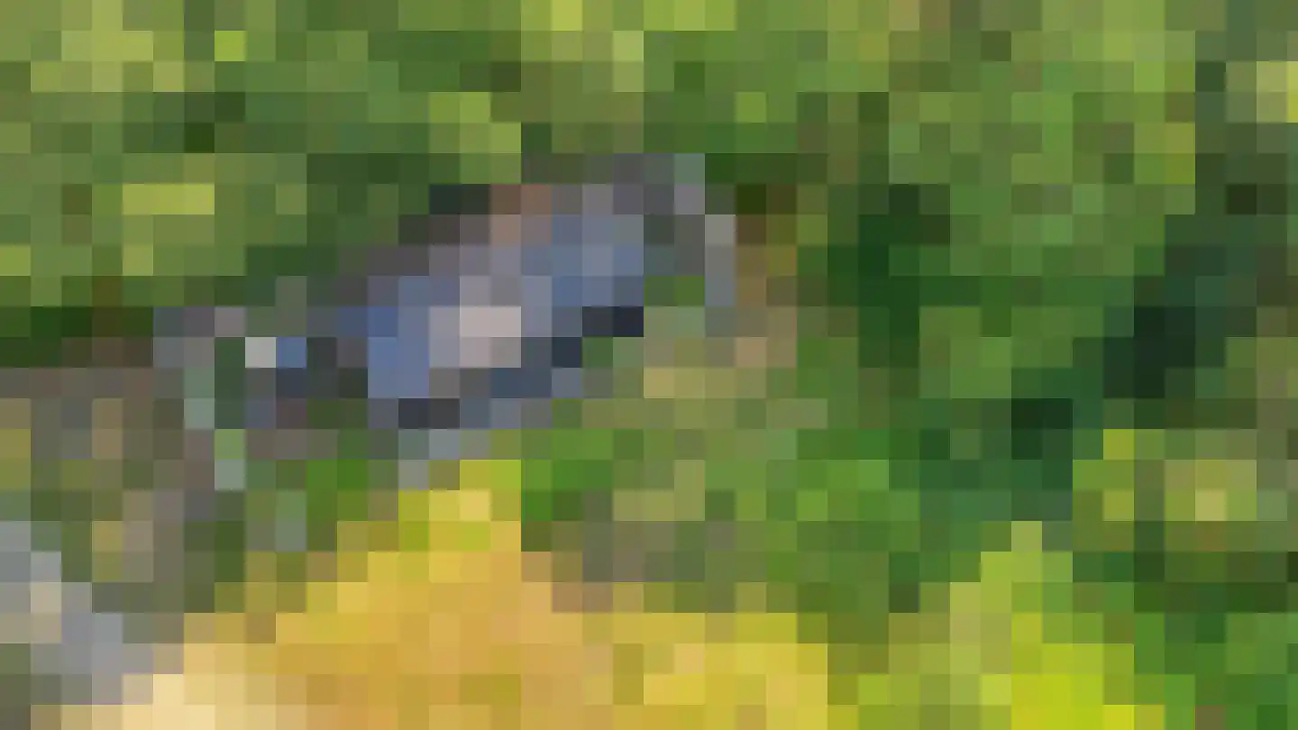 Radarpad 62 Arnhem thumbnail 31