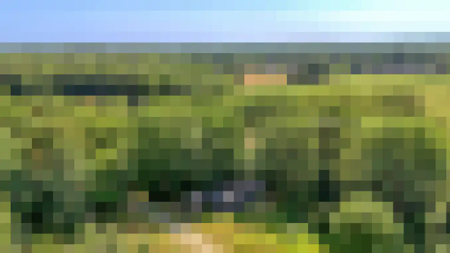 Radarpad 62 Arnhem thumbnail 33