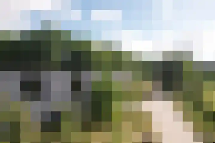 Radarpad 68 Arnhem thumbnail 11