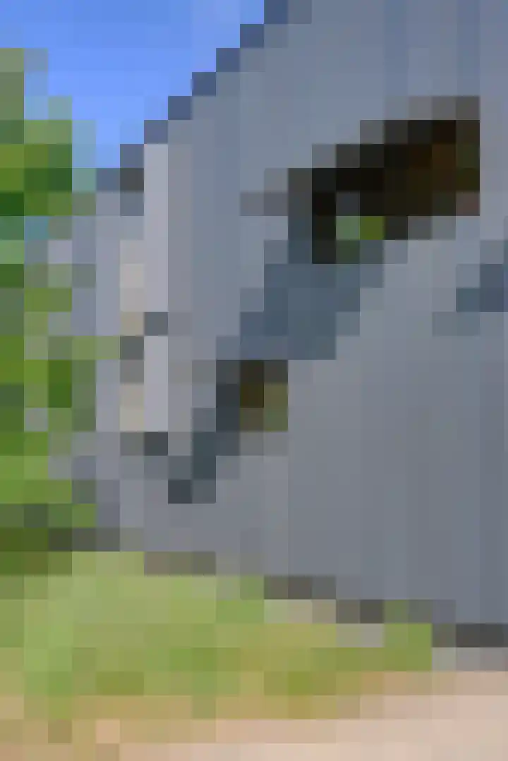 Radarpad 68 Arnhem thumbnail 12