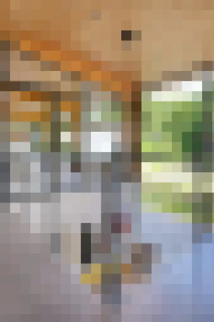Radarpad 68 Arnhem thumbnail 17