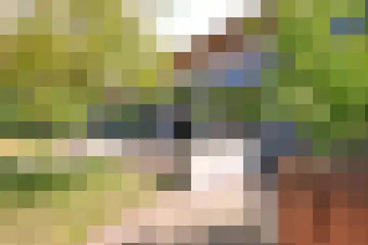 Radarpad 68 Arnhem thumbnail 42