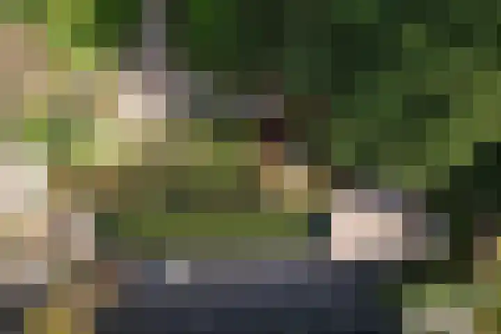 Radarpad 68 Arnhem thumbnail 6