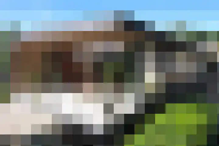Radarpad 68 Arnhem thumbnail 71