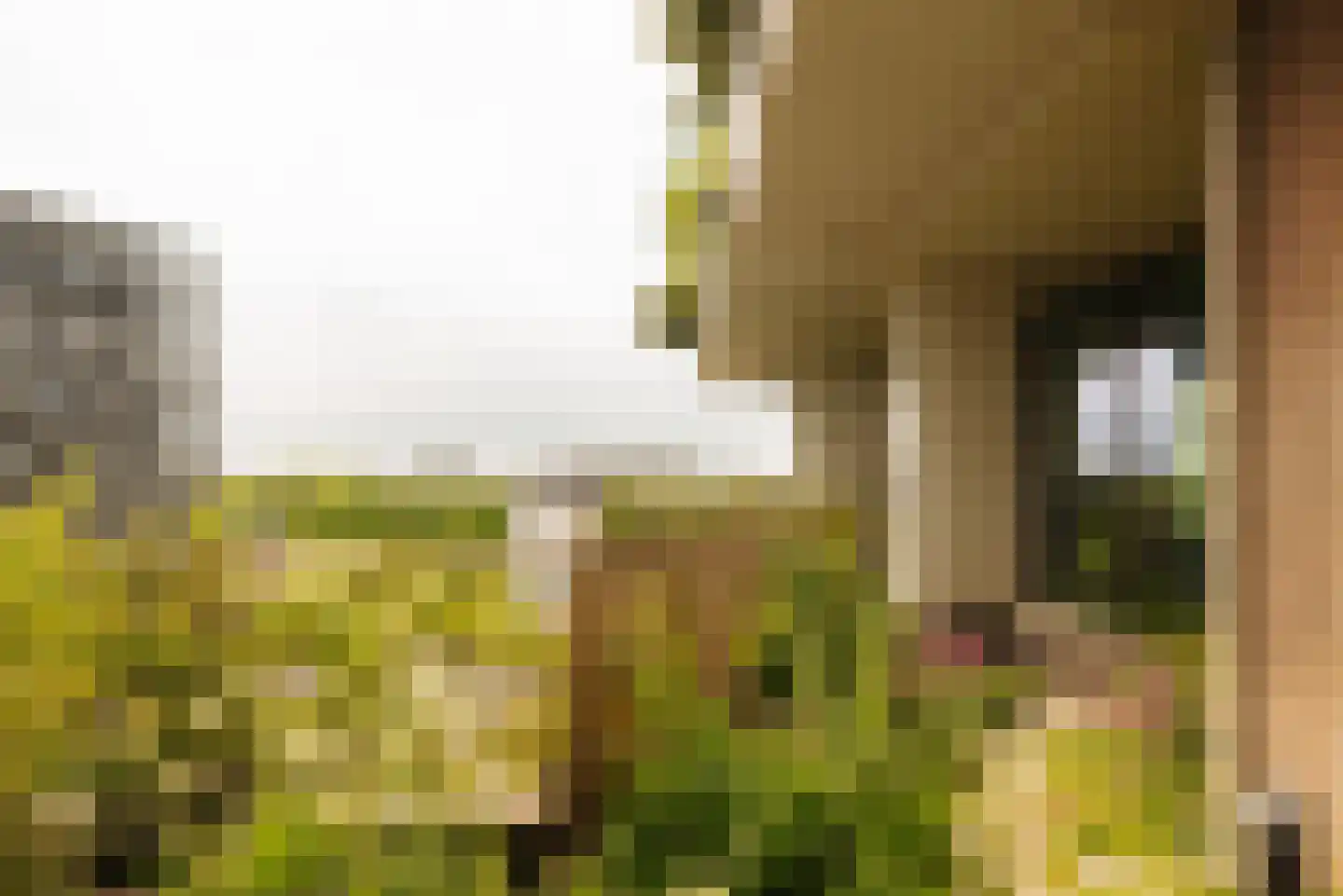 Radarweg 264 Amsterdam thumbnail 33