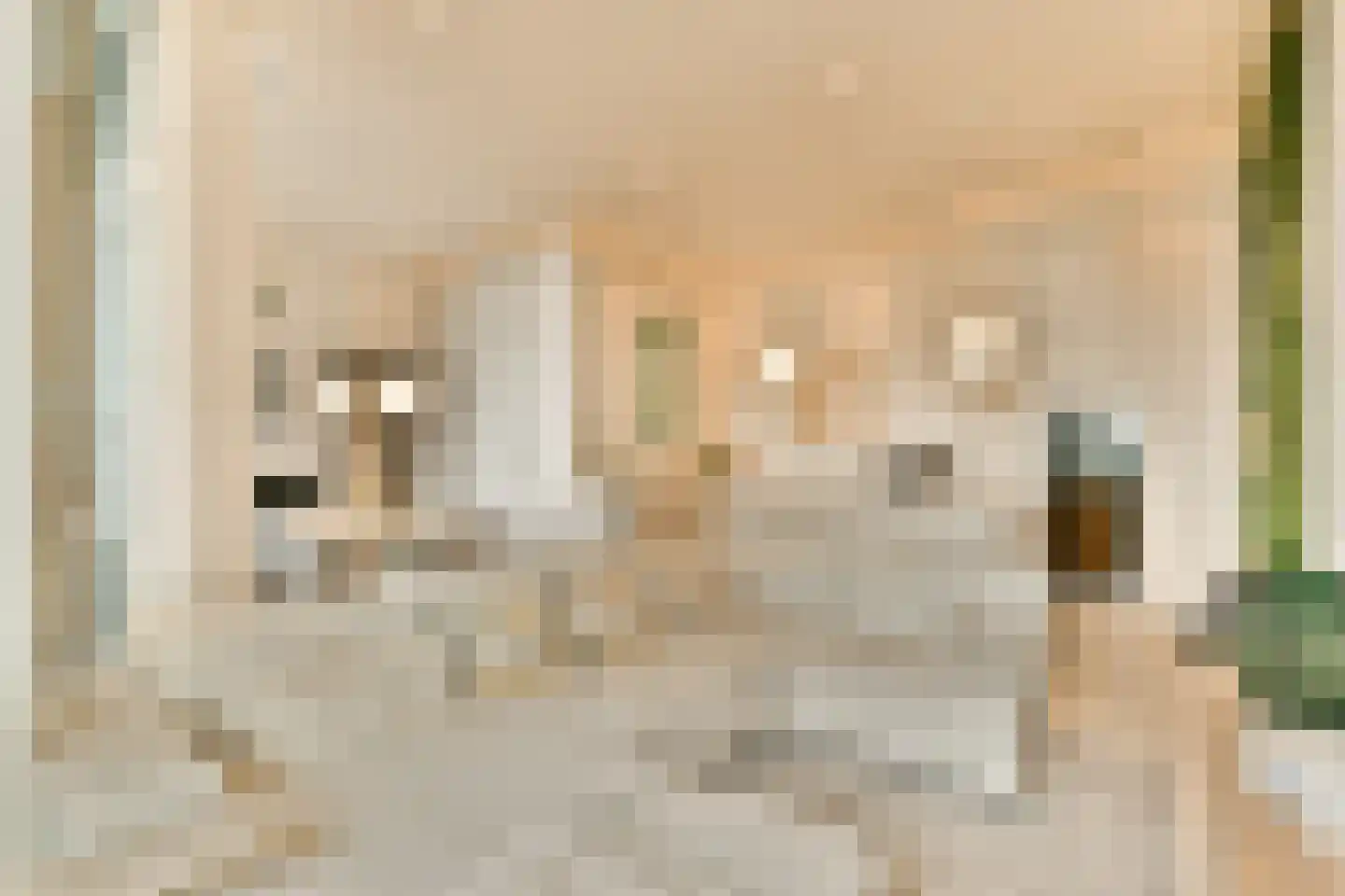 Radarweg 368 Amsterdam thumbnail 13