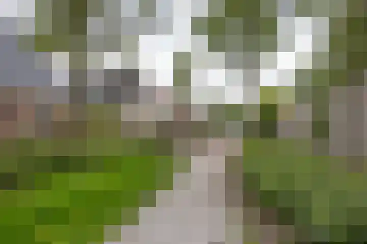 Radarweg 448 Amsterdam thumbnail 8