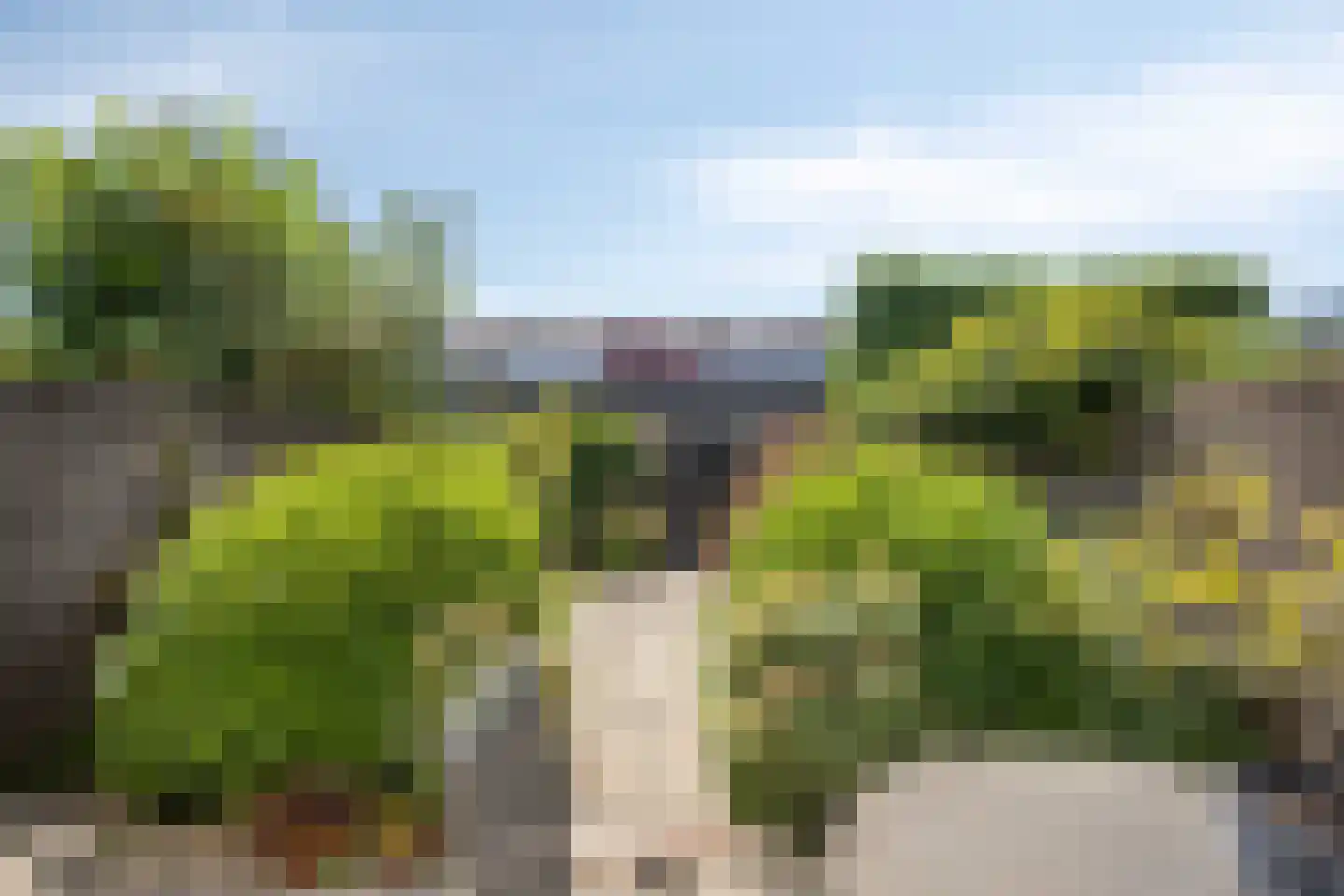Radboud 26 Landsmeer thumbnail 10