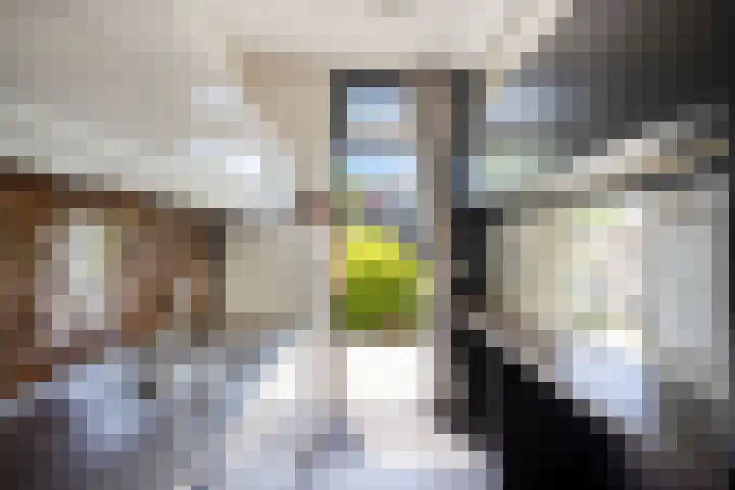 Radboud 26 Landsmeer thumbnail 13