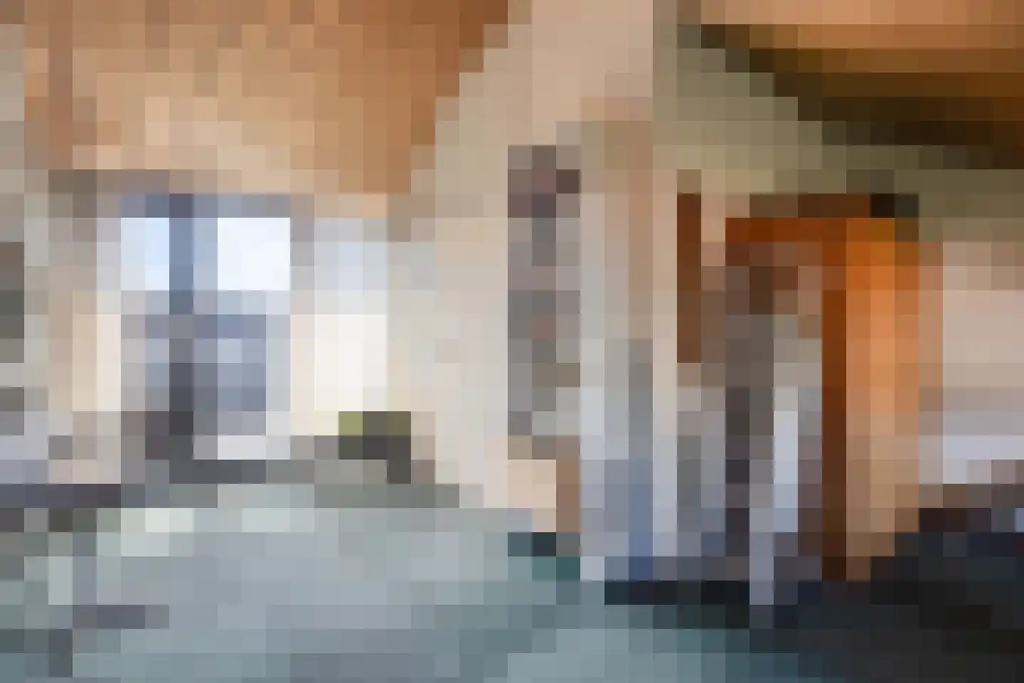 Radboud 26 Landsmeer thumbnail 29