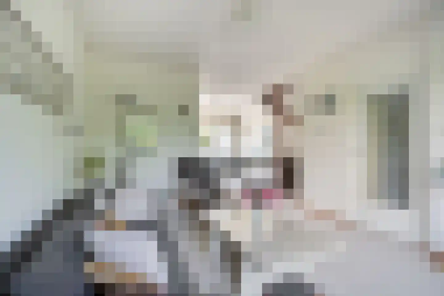 Radboud 26 Landsmeer thumbnail 4