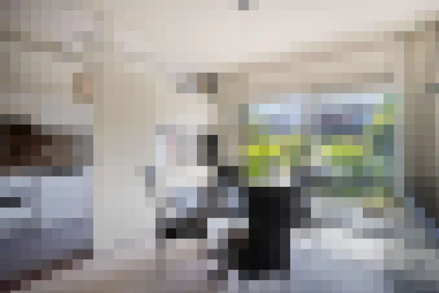 Radboud 26 Landsmeer thumbnail 6