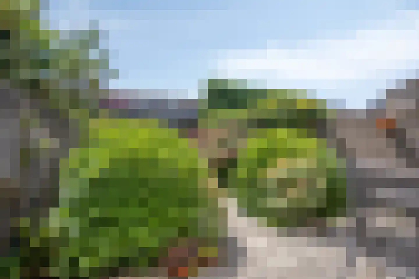 Radboud 26 Landsmeer thumbnail 9