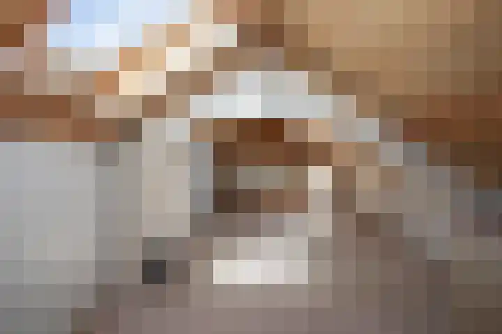Radboud 28 Almelo thumbnail 33