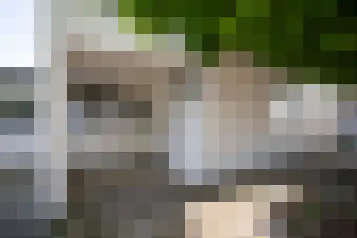 Radboud 28 Almelo thumbnail 4