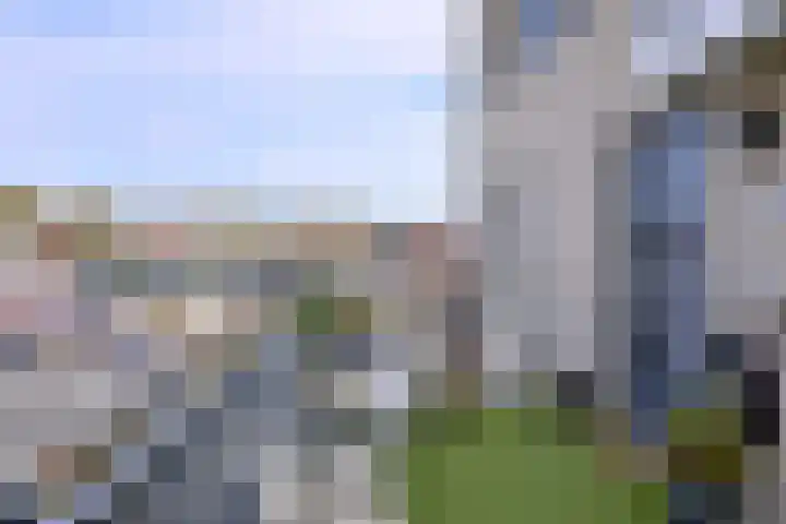 Radboud 28 Almelo thumbnail 6