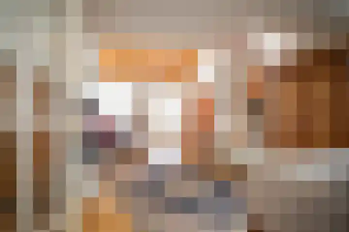 Radboud 28 Almelo thumbnail 9