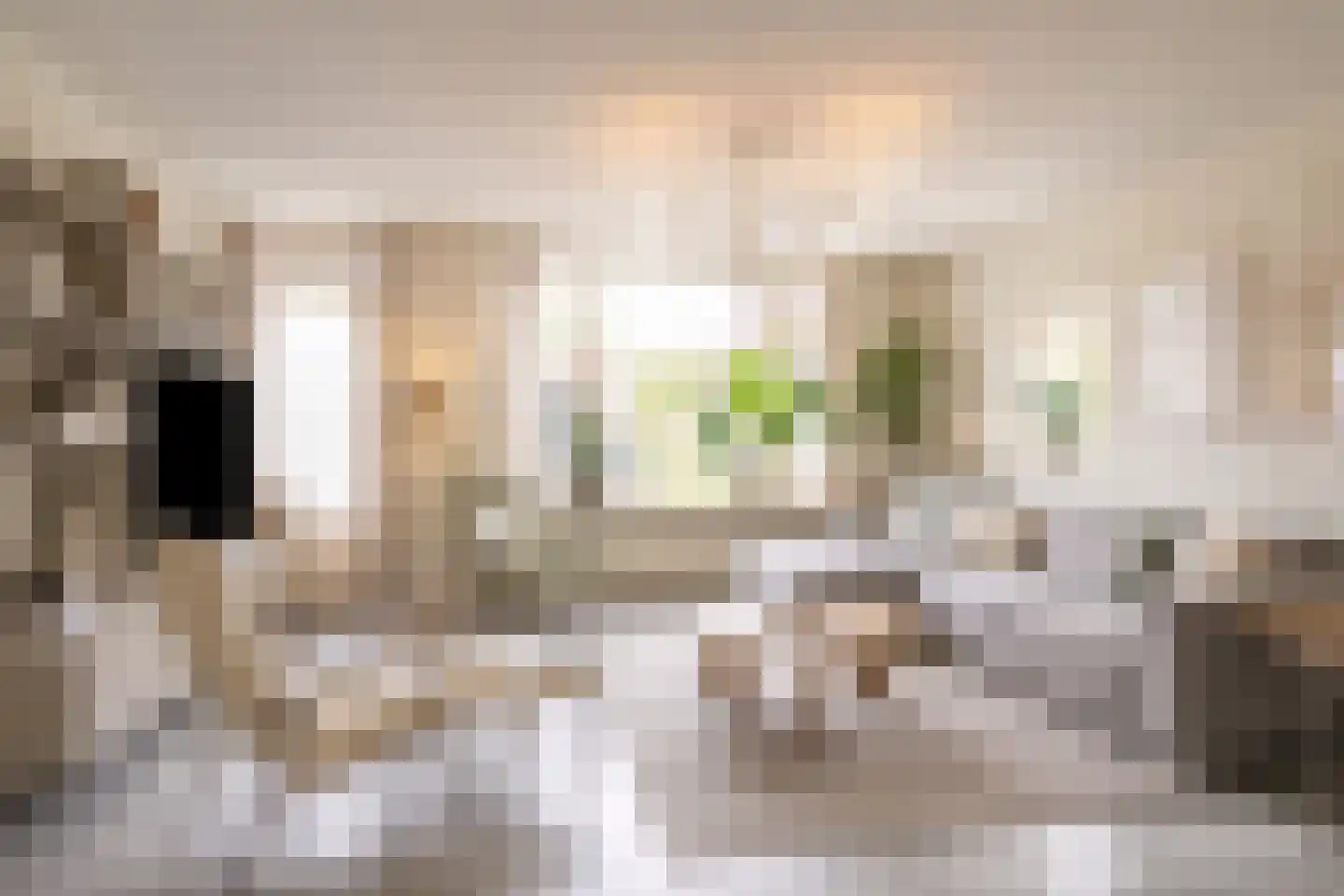 Radboudgracht 32 Hoorn thumbnail 6