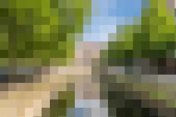 Radboudgracht 8 Hoorn thumbnail 28