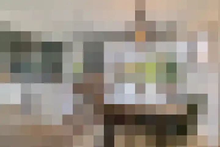 Radboudlaan 13 Bussum thumbnail 10