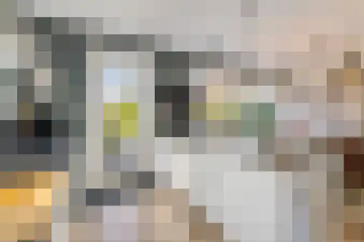 Radboudlaan 13 Bussum thumbnail 14
